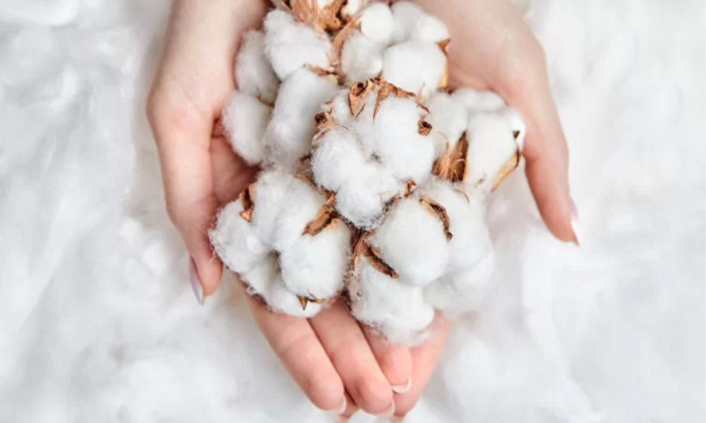 Le coton bio et organique : une matière naturelle idéale pour bébé