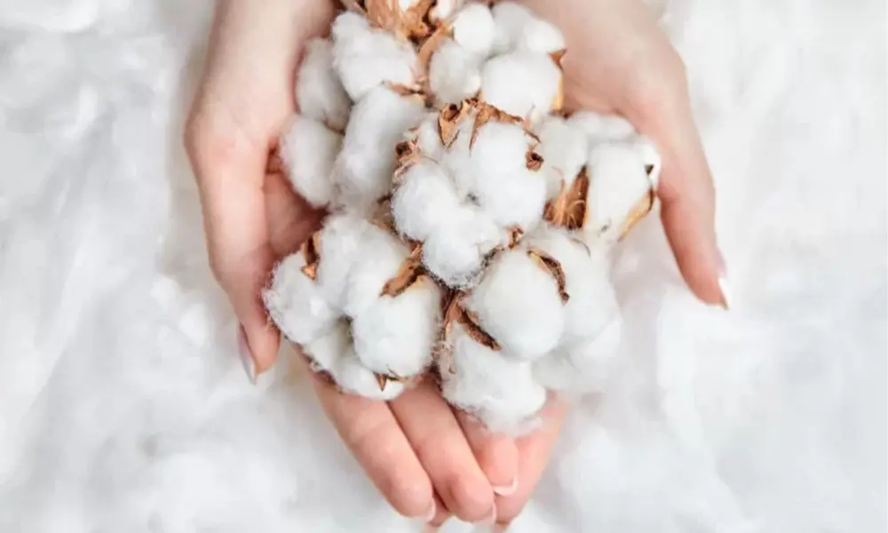 Le coton bio et organique : une matière naturelle idéale pour bébé