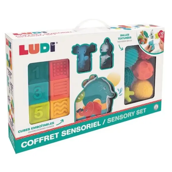 Coffret d'éveil Jungle Multicolore Ludi