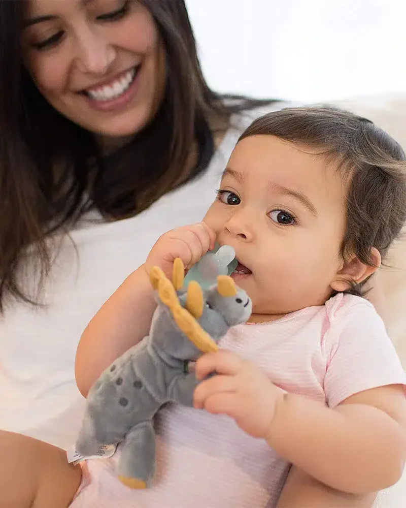 Dr Brown’s Doudou Nounours avec tétine en silicone