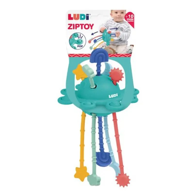 Ludi Zippy activité Multicolore