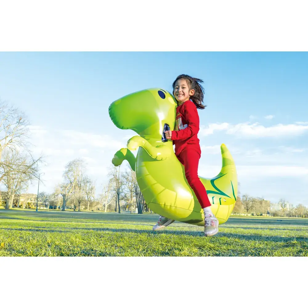 Sauteur d'air pour animaux Dinasoir