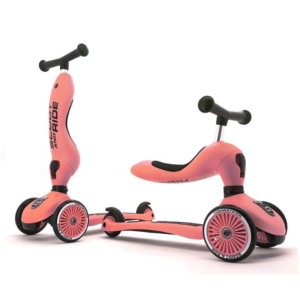 SCOOT AND RIDE – TROTTINETTE HIGHWAYKICK 1 – pêche